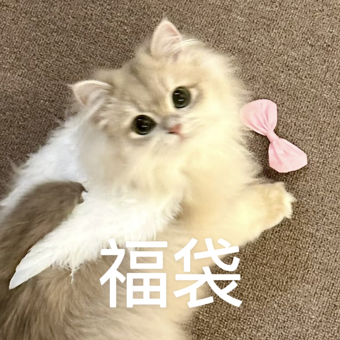 耳环项链发饰戒指组合福袋