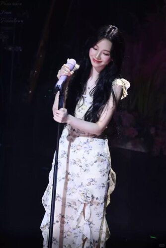 现货PREON自制柳智敏同款碎花荷叶边吊带连衣裙仙女裙