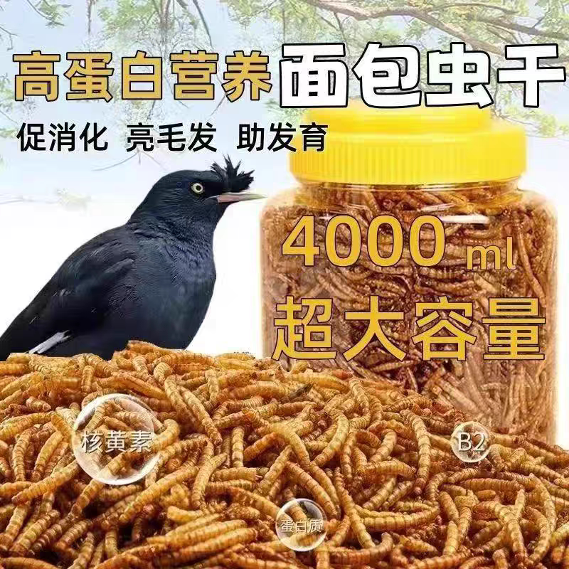 鹦鹉八哥面包虫干鸟食粮食饲料黄鼠粮