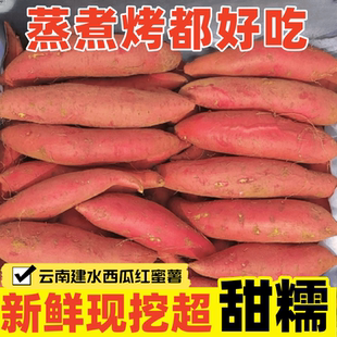 农家蜜薯正宗新鲜西瓜红红薯香薯黄心糖心地瓜山芋沙地红心番薯