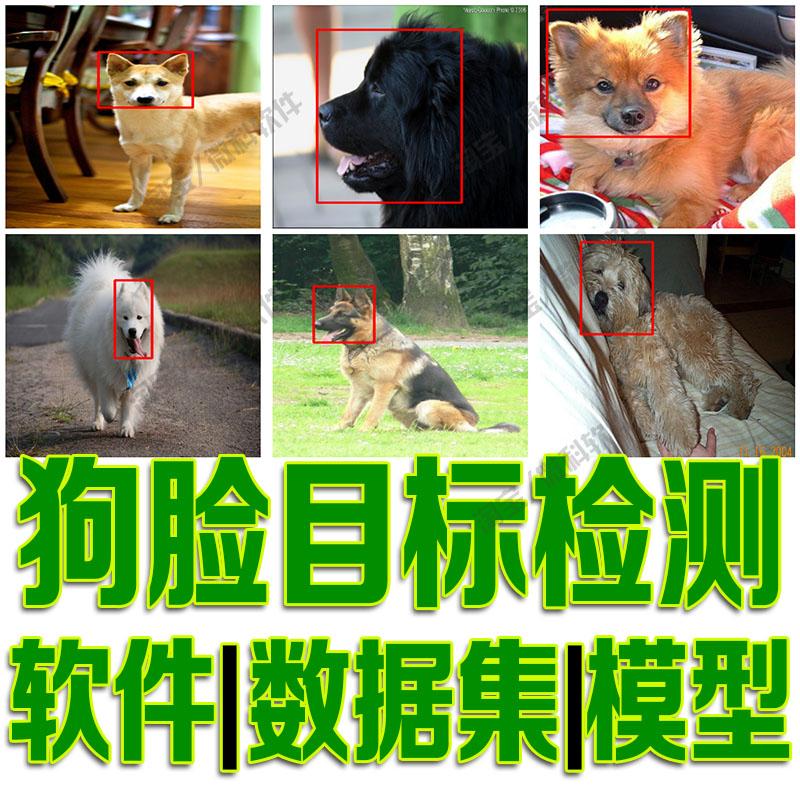 狗脸目标检测数据集模型yolo训练voc机器深度学习python自动识别