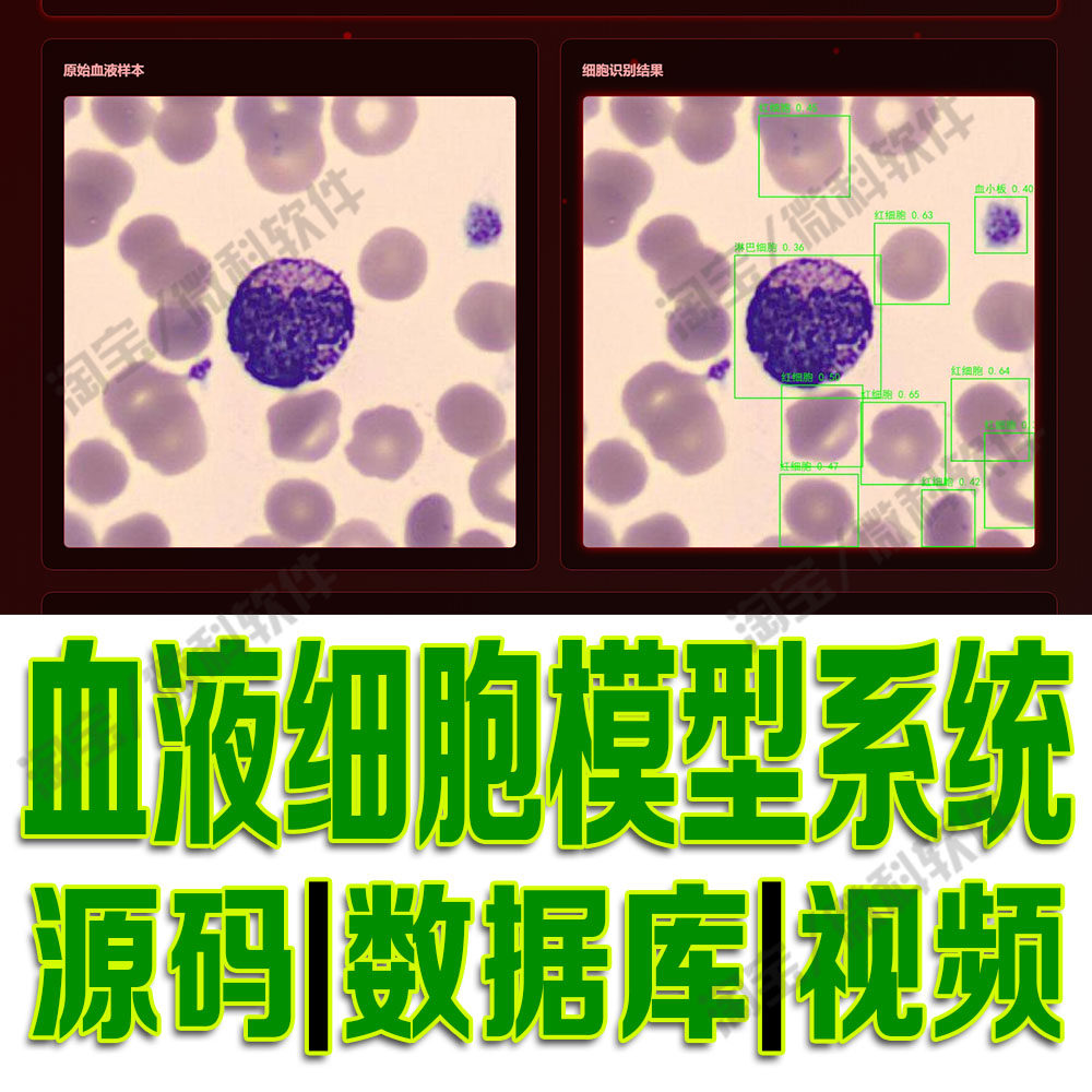 血液细胞智能识别系统yolov8模型图片分析flask数据集python源码