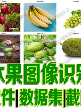 水果图片识别目标检测数据集YOLOv5模型训练标注机器学习python