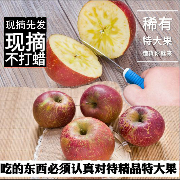 现摘树尖稀有特大果云南昭通苹果丑苹果冰糖心新鲜脆甜孕妇水果