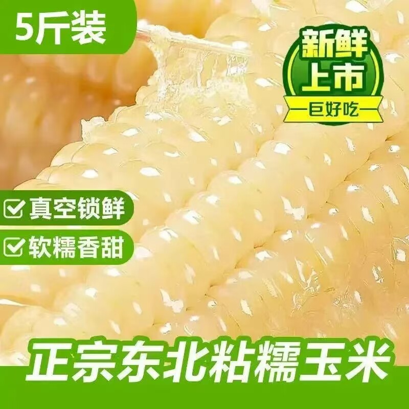 正宗东北粘糯玉米新鲜白糯玉米棒