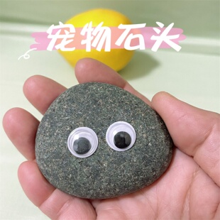 宠物石头用品可以养的小石头窝家桌面摆件装饰品可爱创意陪伴礼物
