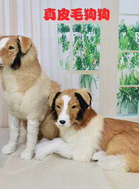 牧羊犬毛绒公仔软装拍摄道具模型