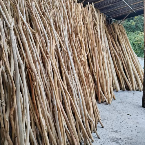 干树枝名宿挂衣杆屏风森系天然