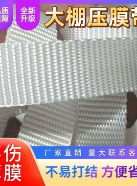 压膜带大棚绳养殖大棚专用绳农用绳加厚防晒防老化白色涤纶高强度