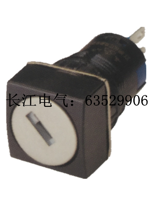 江阴长江 LA38-11Y2/12C 二档 LA38-22Y3/12C 三档 方形钥匙开关