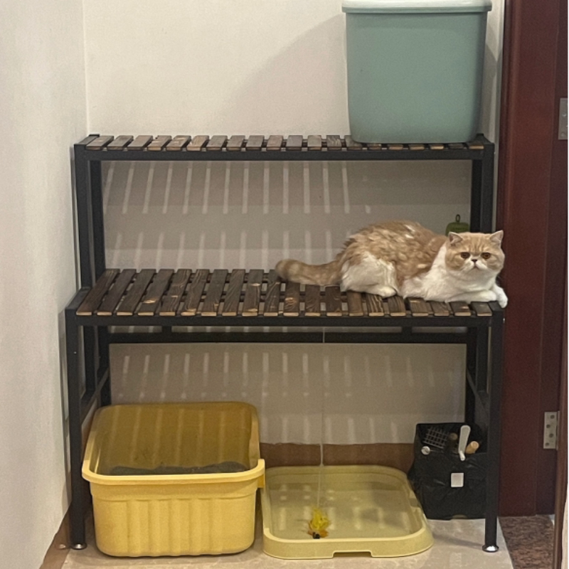 定制铁艺碳化防腐实木二层猫爬架
