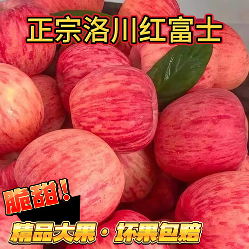 正宗陕西洛川苹果新鲜水果当季红富士冰糖心特级脆甜丑苹果