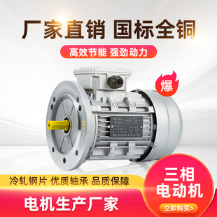 1.5KW立式 三項(xiàng)異步交流電動(dòng)機(jī)高速鋁殼YS250 370 750W 2800轉(zhuǎn)家用