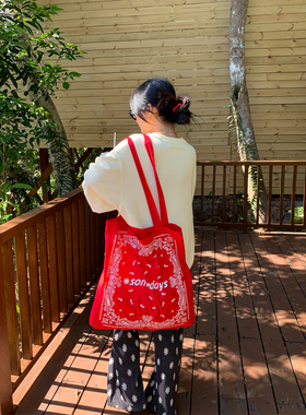 落落狷介原创帆布包2026年新款早春设计感印花红色百搭包包女小众