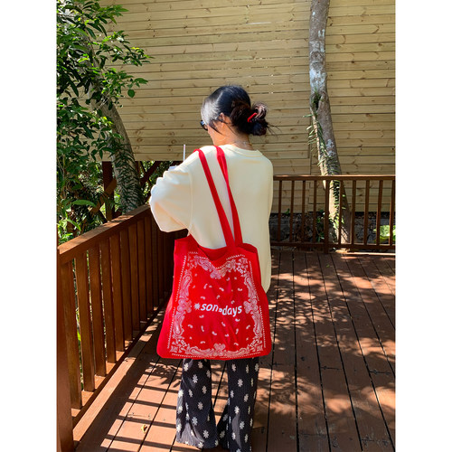 落落狷介红色印花帆布包女