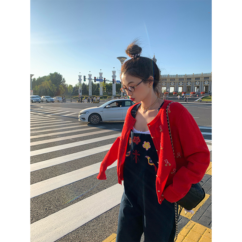 落落狷介针织衫女开衫上衣