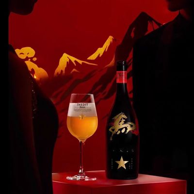 艾帝达姆马年版啤酒礼盒12瓶