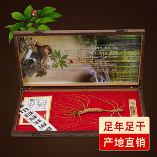 人参野山参东北特产林下参礼盒长白山一等参山参泡酒