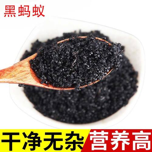黑蚂蚁干野生长白山蚁拟黑多刺蚁500g养生泡酒料大蚂蚁酸黑蚂蚁粉