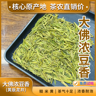 大佛浓豆香 黄版炒豆香锅巴香龙井茶2025年雨前茶浓香耐泡