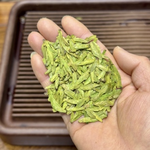 明前小嫩芽 2026新茶黄版浓豆香福利款大佛龙井茶高山绿茶
