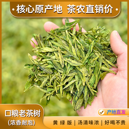口粮老茶树 绿版汤清浓香耐泡大佛雨前龙井茶2026年新茶高山绿茶
