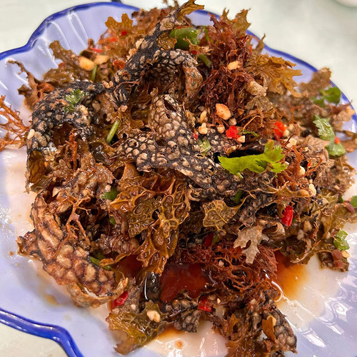 山野菜树皮菜500g凉拌下饭菜山货