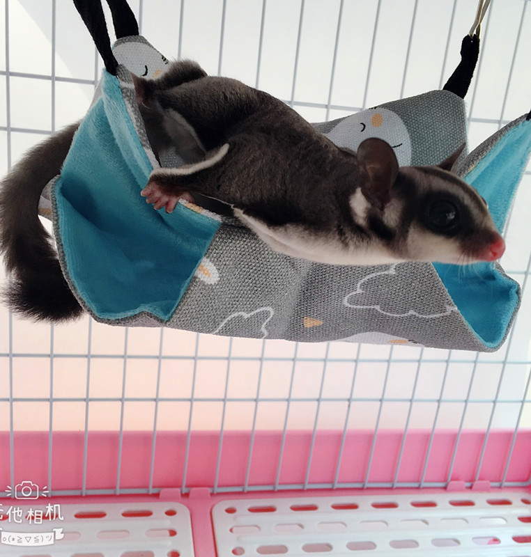 夏季蜜袋鼯双层吊床花枝鼠荷兰猪松鼠帆布纳凉小窝悬挂吊窝仓鼠窝