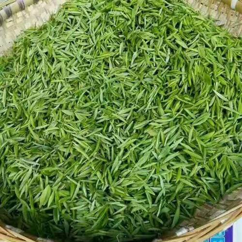 贵芯新茶毛尖都匀独芽贵州绿茶