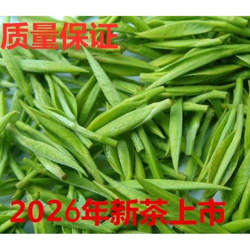 半斤2026年新春茶叶清绿茶250g