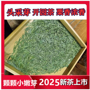 头采小芽半斤2025新茶开园春茶明前特级250g雀舌绿茶湄潭翠芽栗香