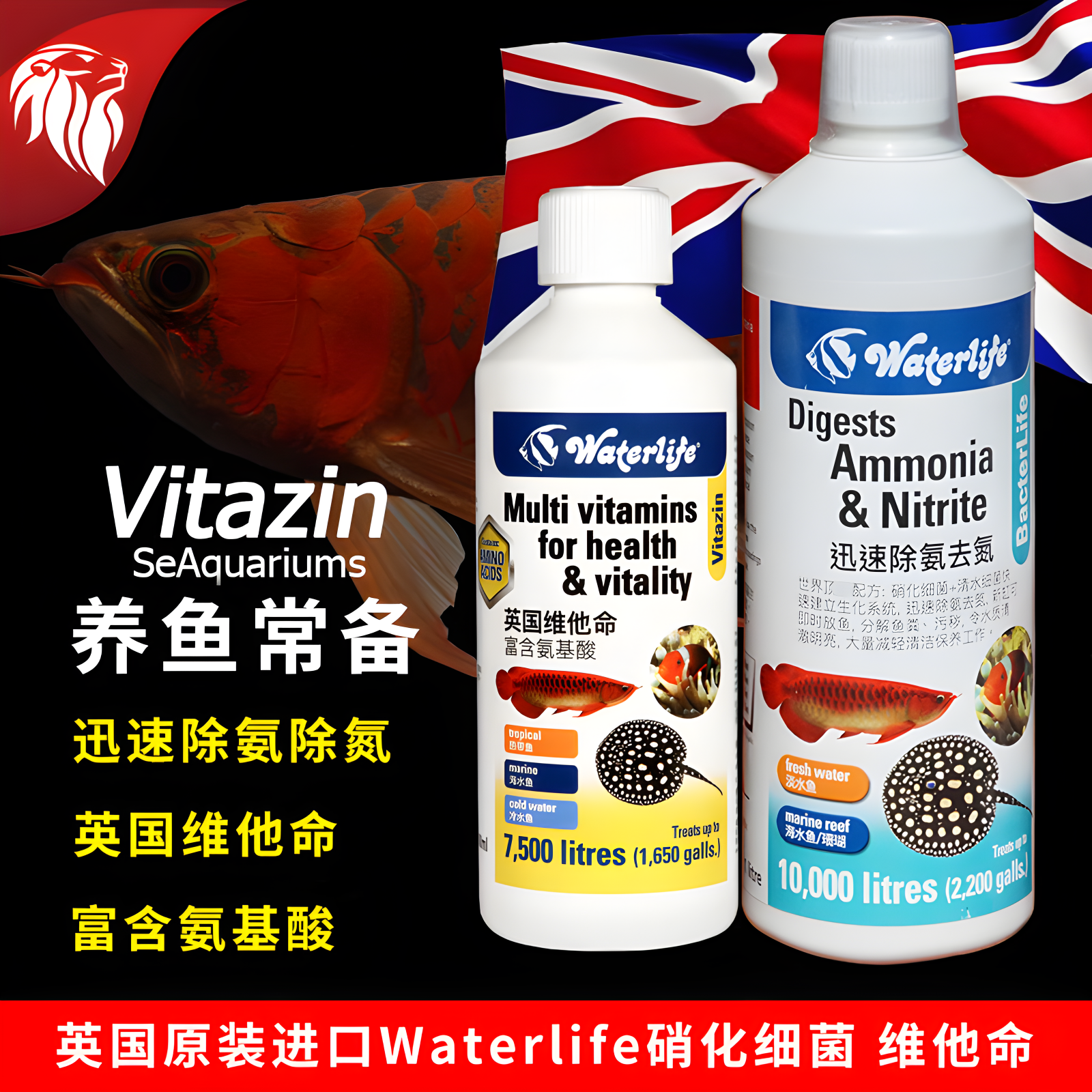 保真英国进口观赏鱼硝化菌