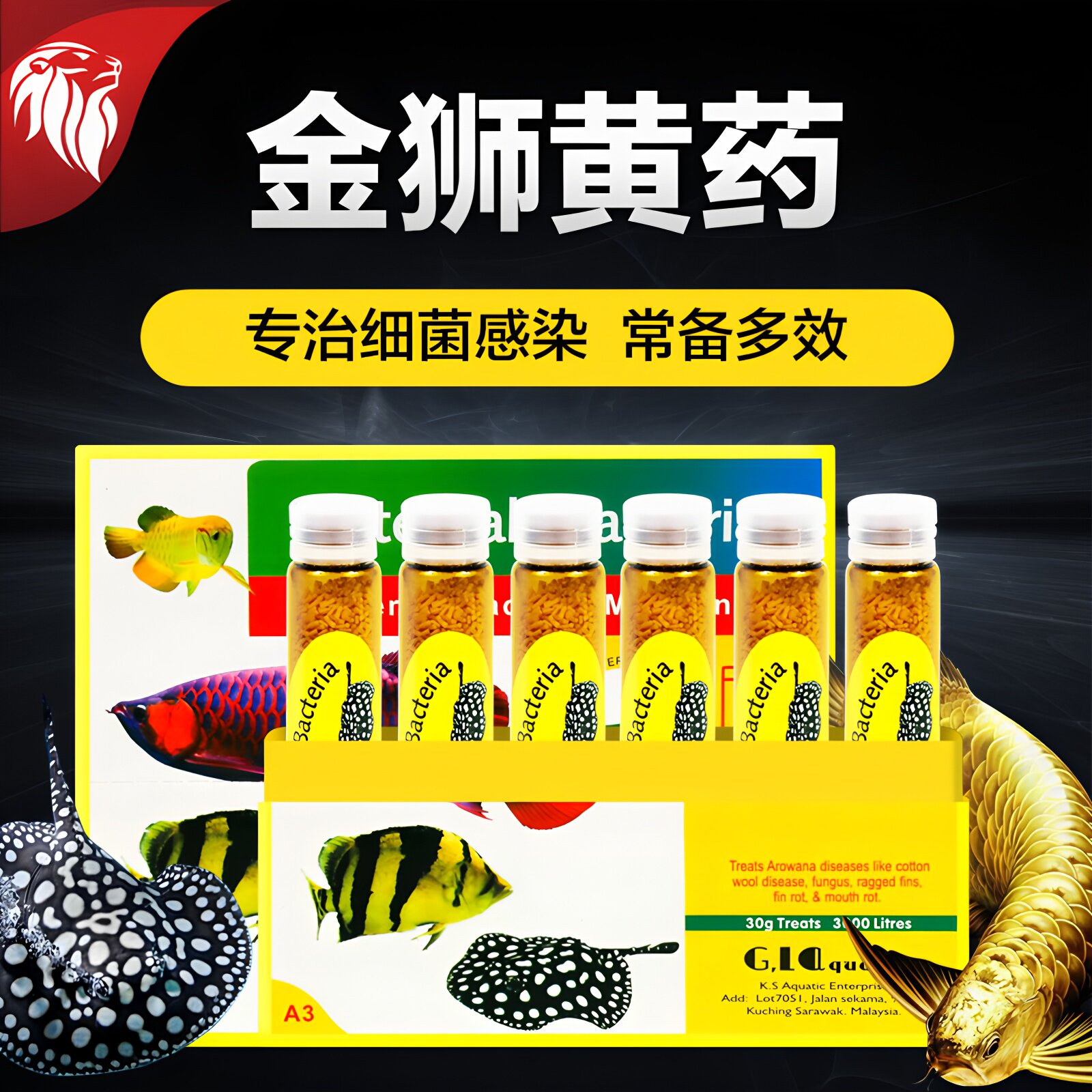 金狮观赏鱼龙鱼罗汉鱼金鱼锦鲤黄色粉末烂身烂尾日本黄粉非药品