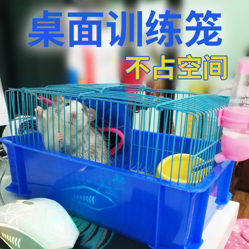 花枝鼠笼子,避免,选择_文秘苑图库