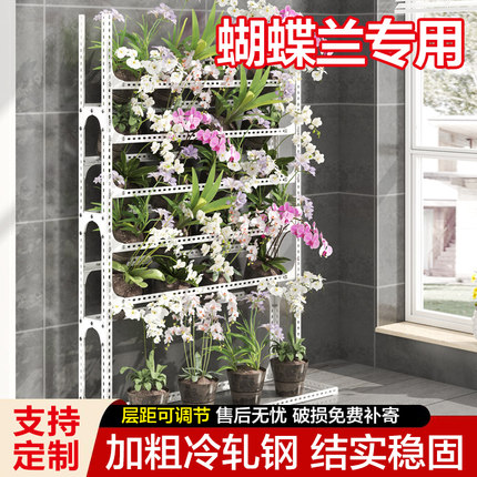 落地式角钢蝴蝶兰花架国兰石斛兰多层家用阳台可移动花店植物架子