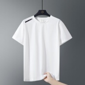 运动冰感t恤百搭 速干透气男士 夏季 轻奢休闲圆领宽松冰丝锦氨短袖