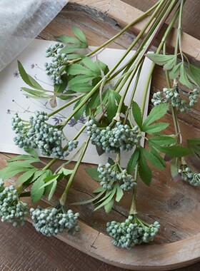 高品质仿真绿果果实植物绿果家居装饰品插花配材新中式拍摄摆件