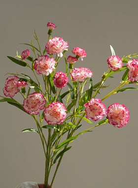 田园康乃馨仿真花束轻奢假花客厅装饰品餐桌干花高端房间插花摆件