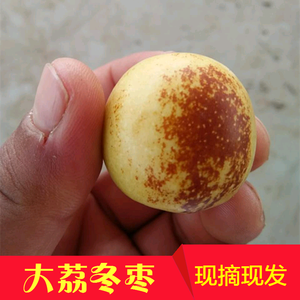 新鲜应季水果大荔冬枣5斤装包邮