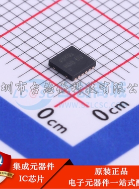 PAM2401YPADJ WDFN-12-EP(3x3) DC-DC电源芯片