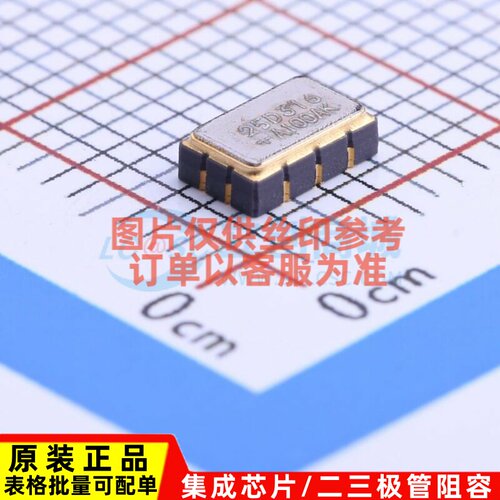 定时器/计时器 DS4125D+ LCCC-10(3.2x5) MAXIM(美信) 电子元器件