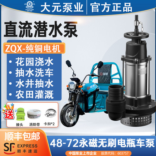 大元电瓶车专用抽水泵48v60v72v直流潜水泵小型农用浇菜灌溉水泵