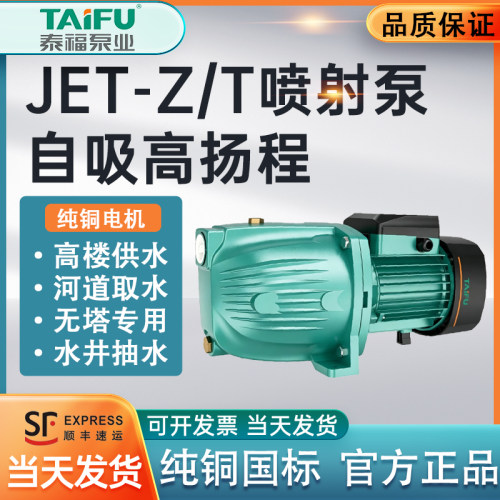 泰福家用自吸喷射水泵高扬程