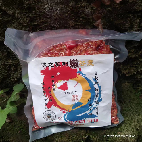 永川杨杰谷麦盘车钓饵野钓鲤草鱼