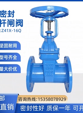 Z41X-16Q明杆软密封弹性座封法兰闸阀铸铁 DN50 65 80 100 150200