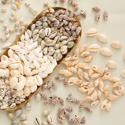 天然打孔小海螺贝壳儿童手工艺品手工diy自己做项链风铃挂件材料