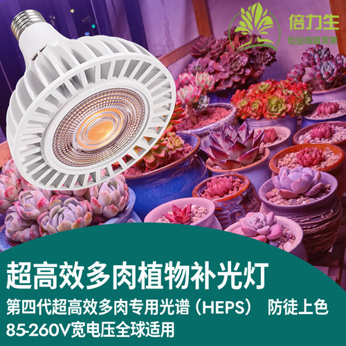太阳光谱多肉上色全光谱高效
