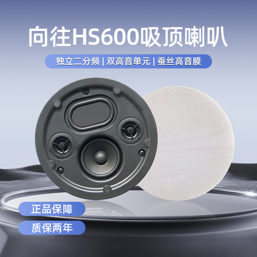 向往HS600家庭办公背景音乐喇叭