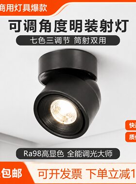 明装led射灯家用护眼可调角度