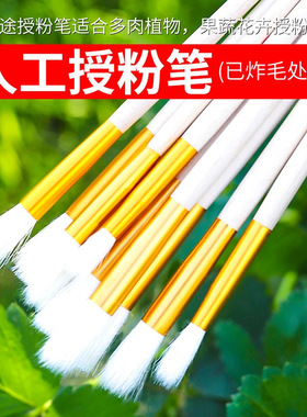 人工授粉笔刷授粉器草莓多肉西红柿无花果树授粉花粉点花授粉刷